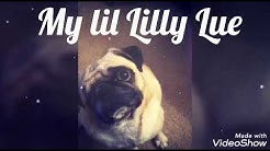 Lilly lil free Lilly lil free
