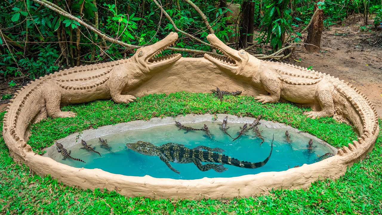 I Can Has Cheezburger Crocodile Funny Animals Online Cheezburger