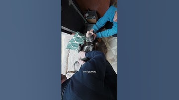 Can a suit tell a story...? BATCH LDN.