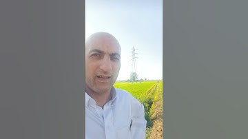 براءه سيدنا موسى ما تيسر من سوره الاحزاب بصوت القارئ حماده محمد عبد العزيز