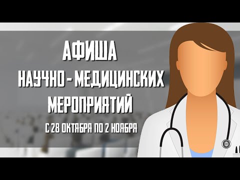 28 октября -