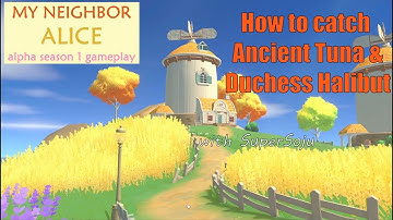 How to catch Ancient Tuna & Duchess Halibut - My Neighbor Alice Alpha Season 1 Gameplay