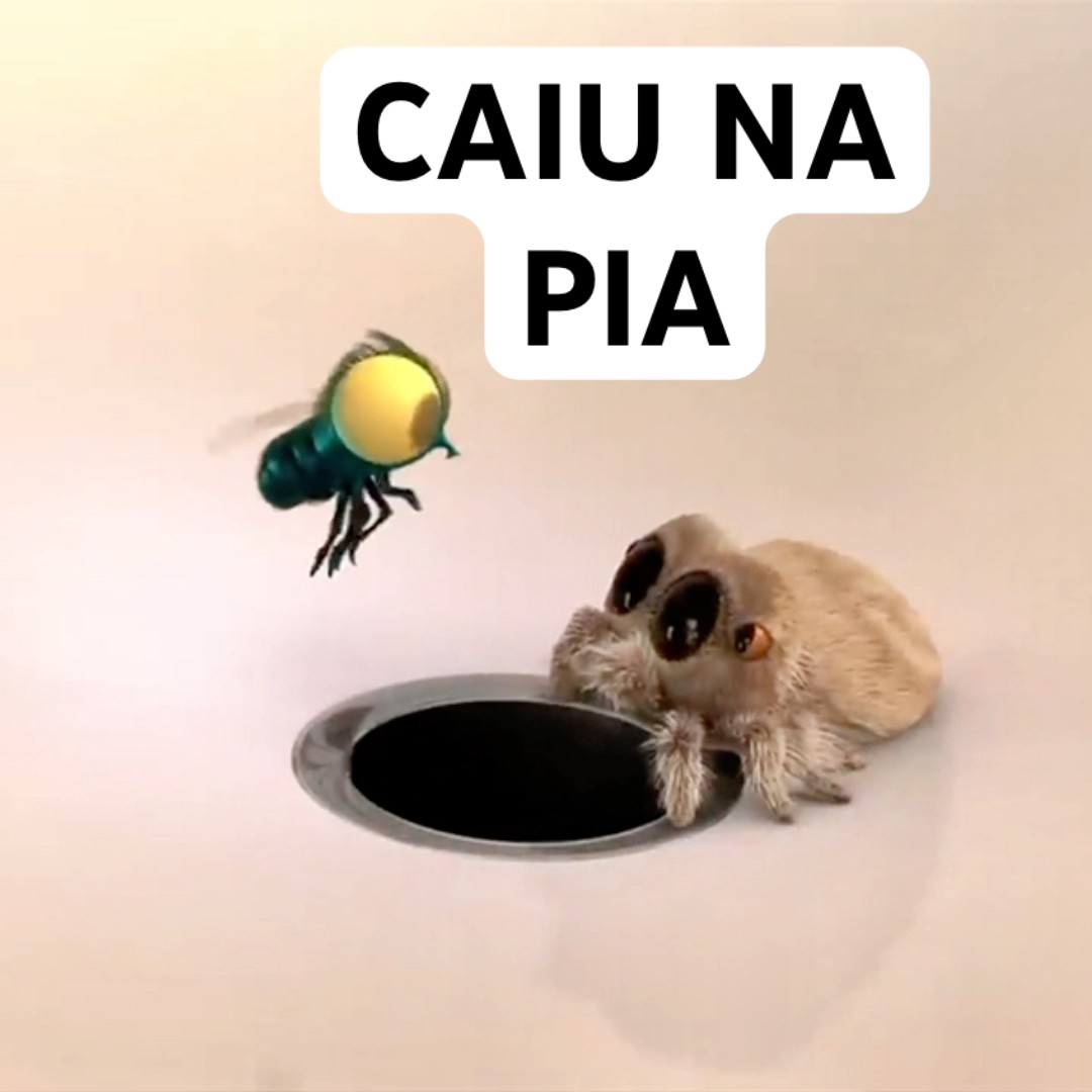 COITADA DA ARANHA FICOU PREOCUPADA COM A MOSCA #shorts
