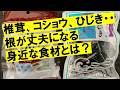 肥料代わりに使える食材はどれだ？