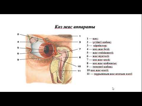 Есту кору сойлеу заманауи  технологиясы Ергаринга Ж.М.