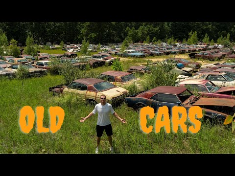 დაშლილები ამერიკულად - 30' 40' 50' წლების ავტომობილების სასაფლაო ნიუ ჯერსიში #cars #nika #დაშლილები