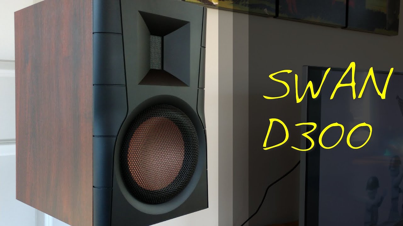 Hivi swans d300 Clearance