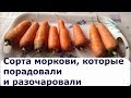 425. Обзор сортов моркови