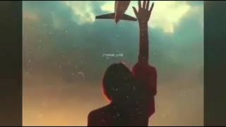 لا تسيب يدي لا تسيب ما في نصيب
