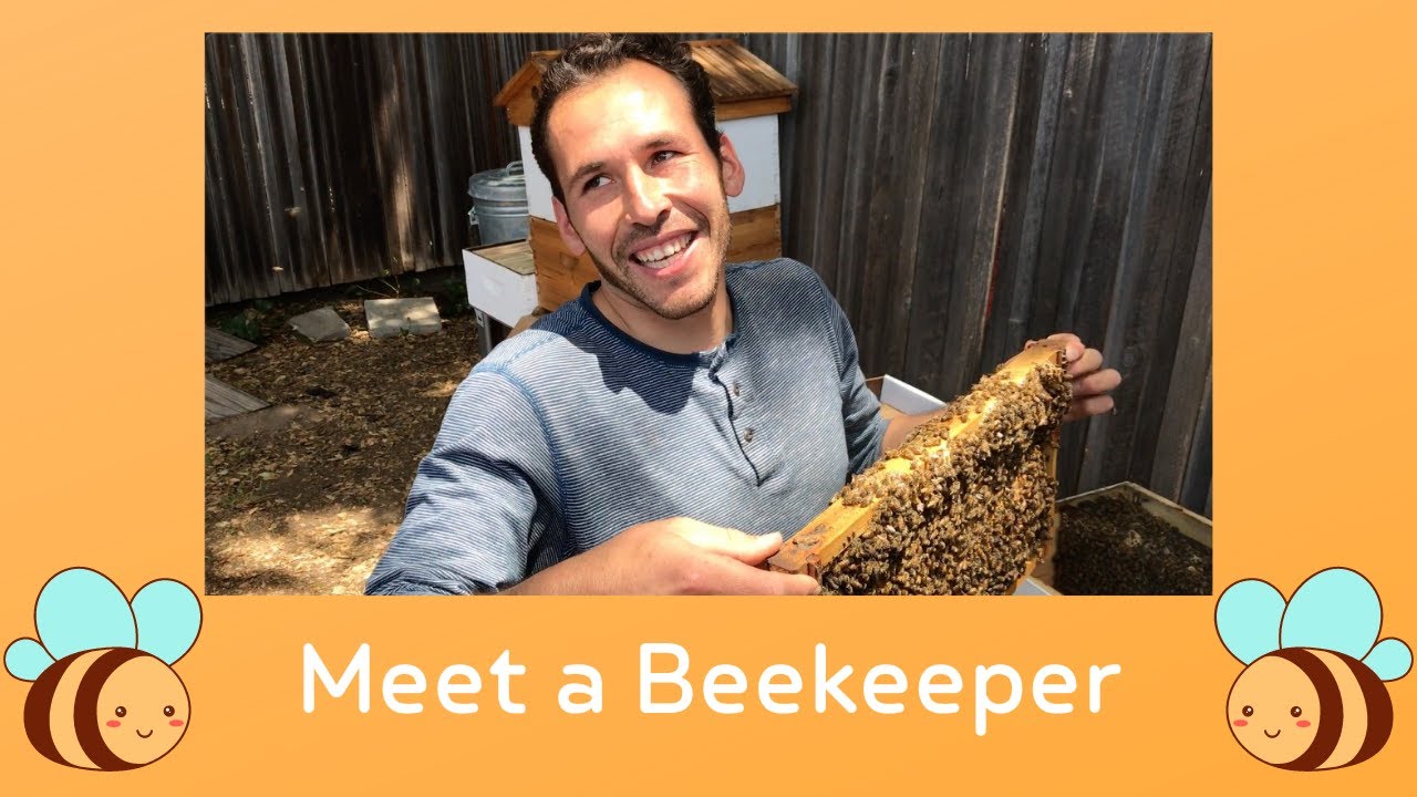 Beekeeping | Honey | Bee | Beehive | Kids | Virtual | Field Trip - YouTube