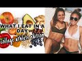 WHAT I EAT IN A DAY AS A COLLEGE ATHLETE | staying lean, our athletic dining hall + desserts???