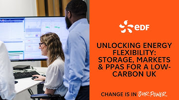 Unlocking Energy Flexibility: Storage, Markets & PPAs for a Low-Carbon UK