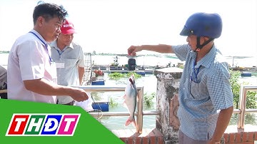 Hấp dẫn Hội thi Câu cá giải trí sông Tiền lần thứ II | THDT