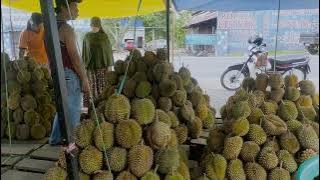 JUAL DURIAN DI PINGGIR JALAN LARIS MANIS