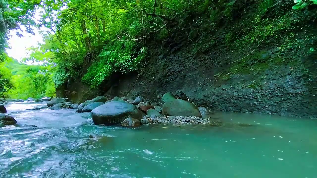 Nature's Calm - Sleep Like a Baby – This Forest Stream Sound Is a Total Game Changer - Deep Sleep
