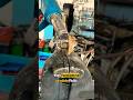 how to check the thermostat components #mechanic