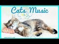 Usa Ésto🎧Con esto tu Gato se calmara y dormira en pocos minutos ,Musica para gatos