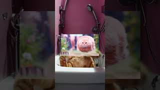 AI generative fill extending famous animal memes by parh0 | #shorts #aiapplications #aialgorithms