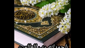 حالات واتس دينيه مقطع سوره الفاتحه اجمل الاصوات 💓💓📿🕌