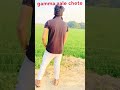 #shortsvideo #gamma aale # viral video