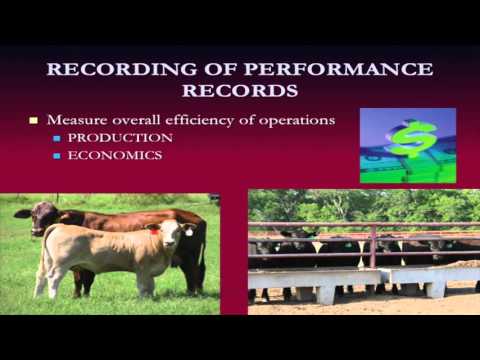 Beef Session Length und Performance 1 Was ist eine optimale Beef Session Länge?