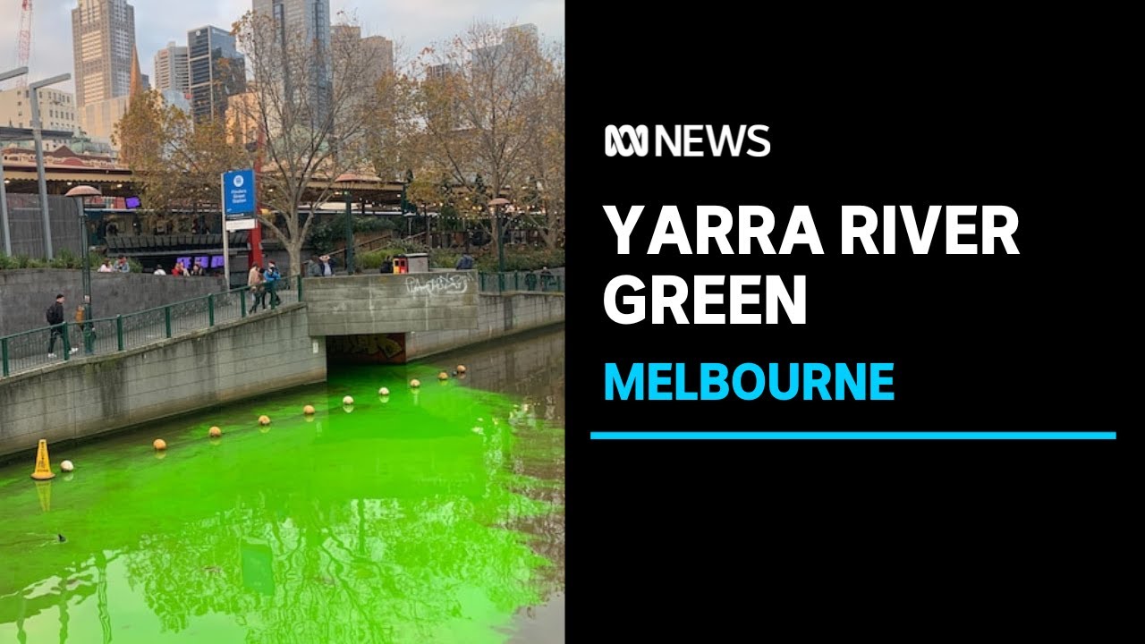 Yarra River in Melbourne turns green overnight ABC News YouTube