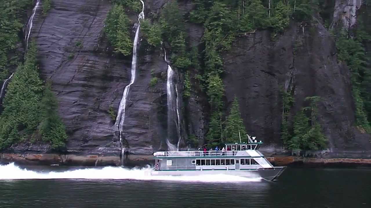 ketchikan whale tours