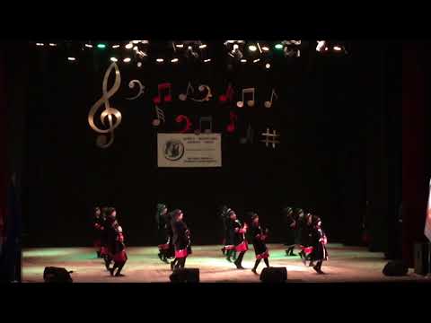 ანსამბლი ,,ერთსულოვნება\" დროშა