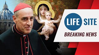 BREAKING: Vatican REJECTS Mary as Co-Redemptrix?! screenshot 5