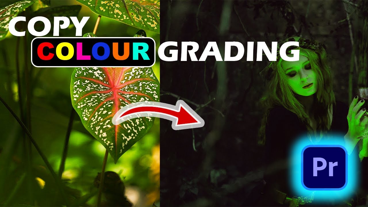 How to Copy Colour Grading in Premiere Pro