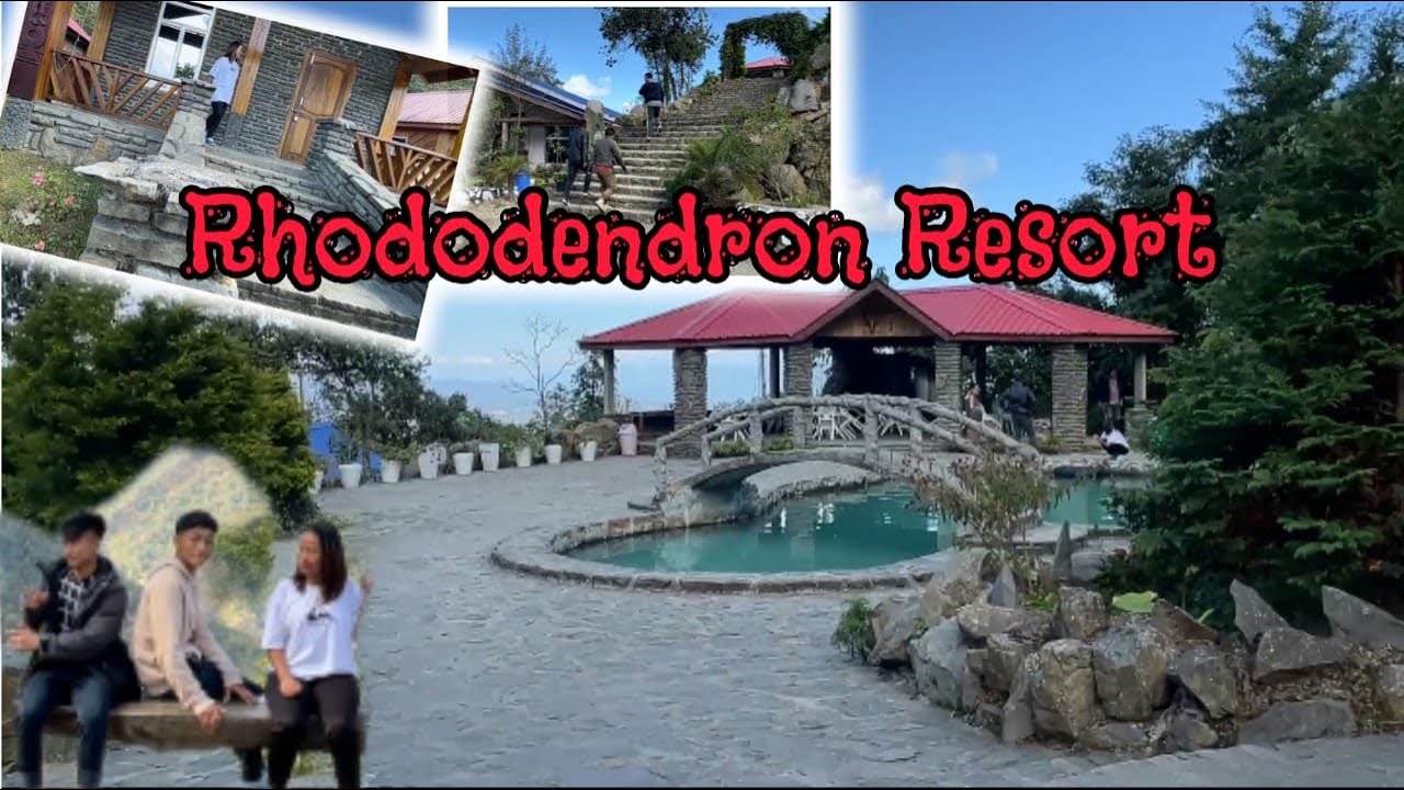 Rhododendron Resort | Kisama | PHESAMA | naga heritage village - YouTube