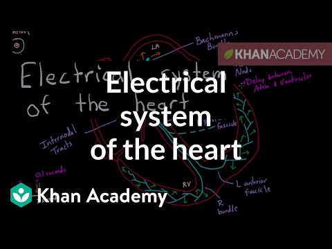 Electrical system of the heart | Circulatory system physiology | NCLEX-RN | Khan Academy