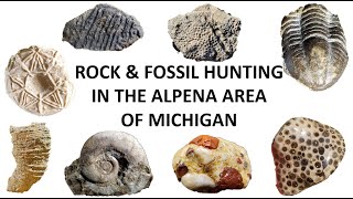 Rock and Fossil Hunting the Alpena area of Michigan