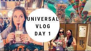 UNIVERSAL VLOG 1 | Riding New Harry Potter Roller Coaster, Shopping At Diagon Alley 2019