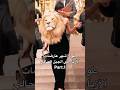 طول اشهر عارضات الأزياء في الجيل الحالي الجزء الأول Fashion Edit Model Explore Style Bellahadid طول اشهر عارضات الأزياء في الجيل الحالي الجزء الأول Fashion Edit Model Explore Style Bellahadid