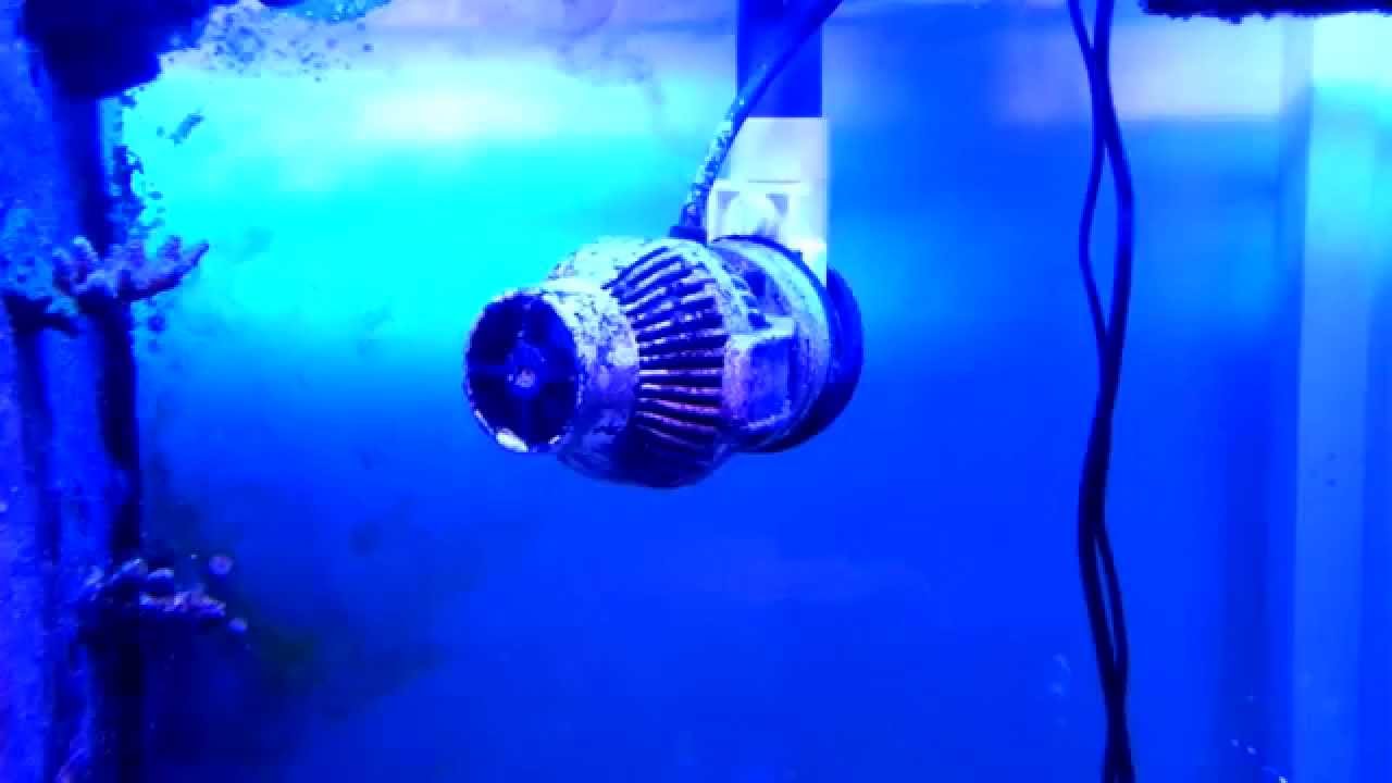 Coral Box Auto Motion Rotation O1 System