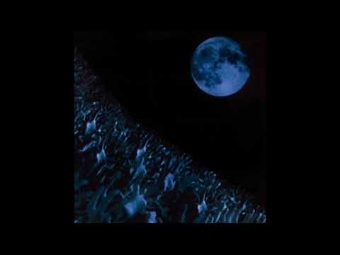 1 Hour Hysteria by Muse, but only the intro with guitar (Seamless Loop)