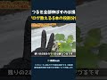 つるを全部伸ばすのは損 プロが教える5本の役割分担