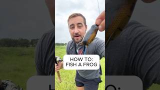 Top water frog HOW TO🎣🔥🎣 #bassfishing #fishing #fish #topwater #frogfishing