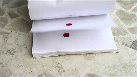 My First 2D Animation Experiment: 