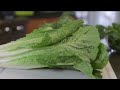 Topeka restaurant takes item off menu to help stop spread of cyclosporiasis