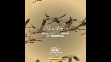 Surah Al-Mulk | Ayah 19-20 | سورة الملك | Wonderful Quran