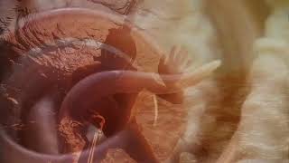 Jon Bafus and Nick Stanifer | Epiphany (Official Music Video)