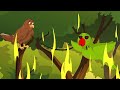 11 the brave parrot story 1