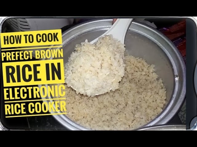 Perfect Brown Rice in a Rice Cooker • The Incredible Bulks