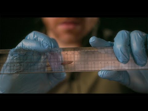 Unintelligible ASMR | Face Examination