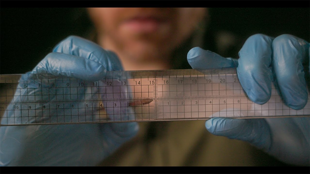 Unintelligible ASMR | Face Examination