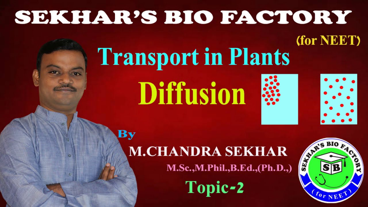 Diffusion in plants for NEET II by SEKHAR's BIO FACTORY - YouTube