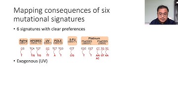 Protein structural consequences of DNA mutational... - Joseph Ng - VarI - Talk - ISMB/ECCB 2021