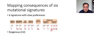 Protein structural consequences of DNA mutational... - Joseph Ng - VarI - Talk - ISMB/ECCB 2021
